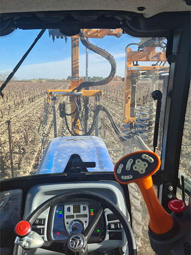 pretaillage-vigne pretaillage-aude-herault